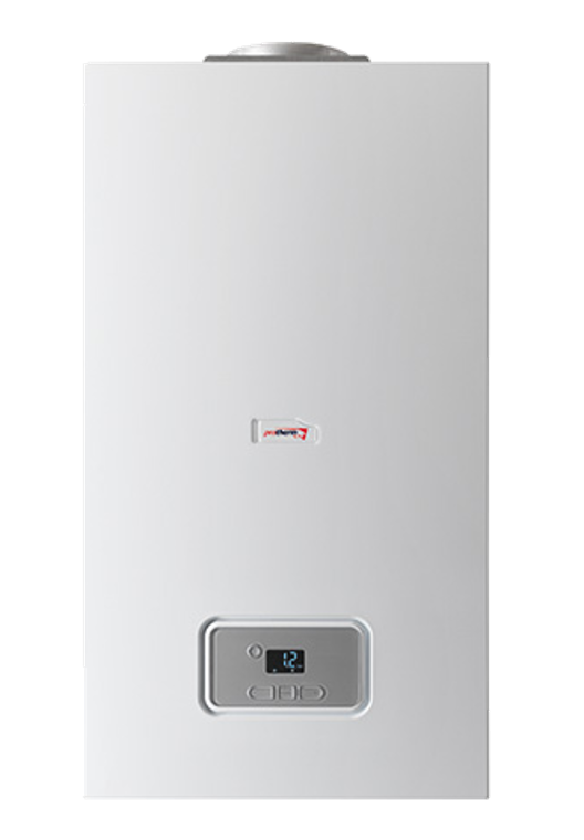 Котел газовый настенный двухконтурный Протерм Гепард / Protherm Gepard