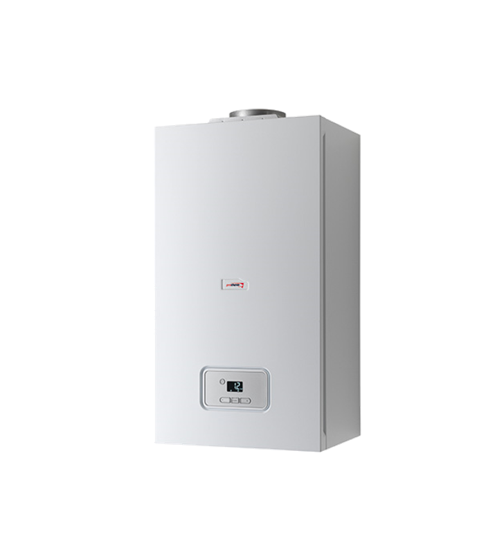 Котел газовый настенный двухконтурный Протерм Гепард / Protherm Gepard